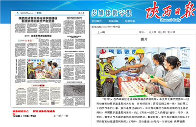 中天西北集團(tuán)瓏樾府項(xiàng)目高溫慰問——《陜西日報(bào)》